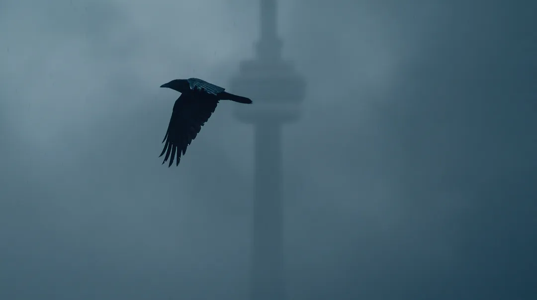 Resurrection Campaign — a lone crow over a fog-shrouded CN Tower